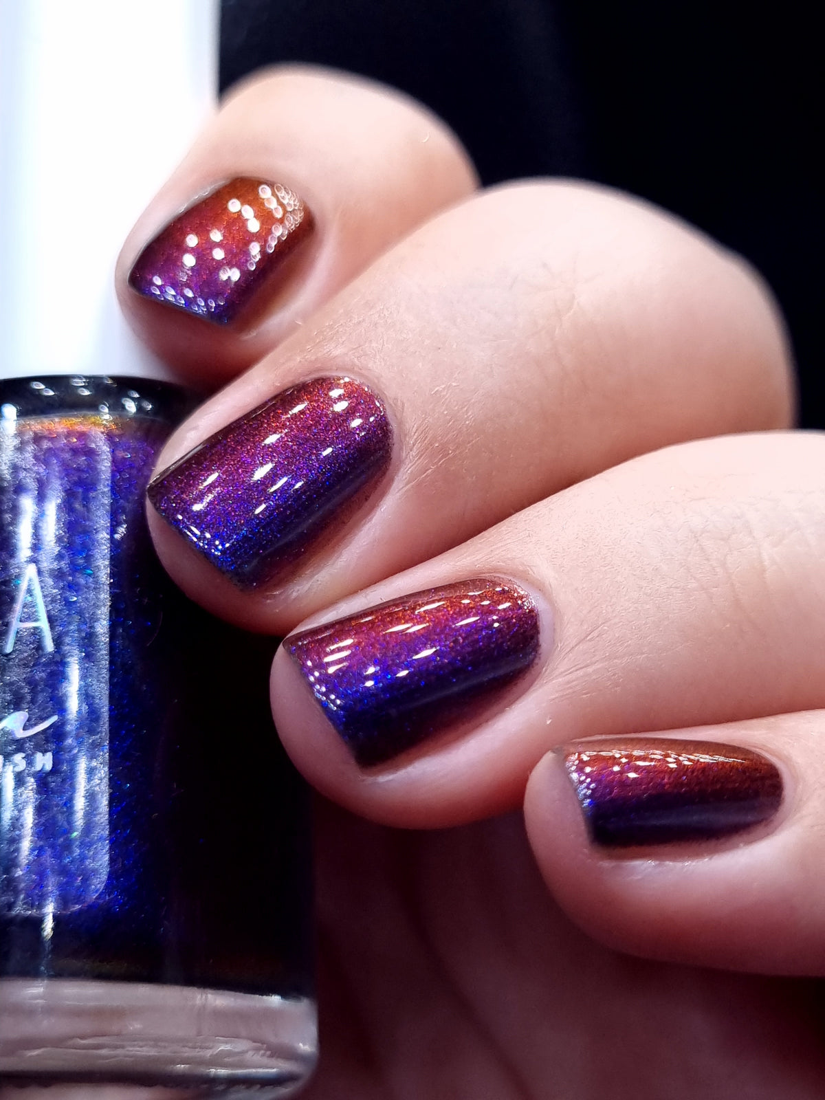 By Vanessa Molina- Rise of the Guardians- Brief