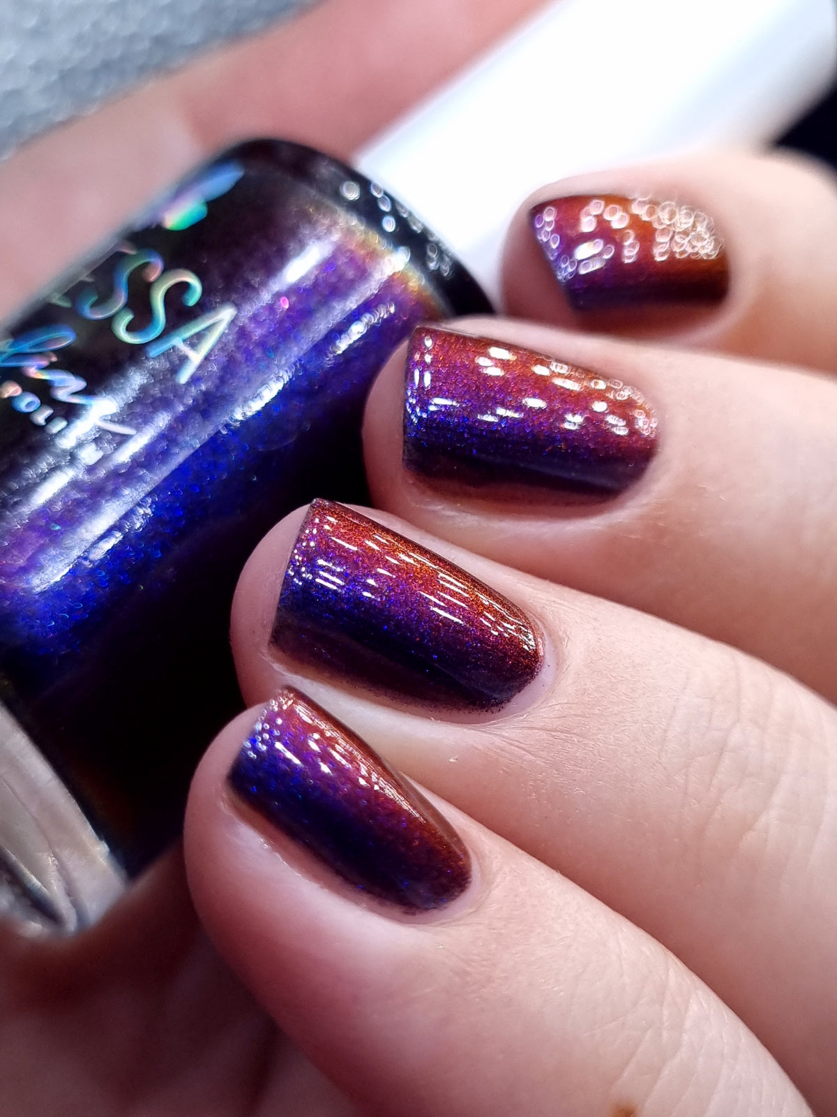 By Vanessa Molina- Rise of the Guardians- Brief