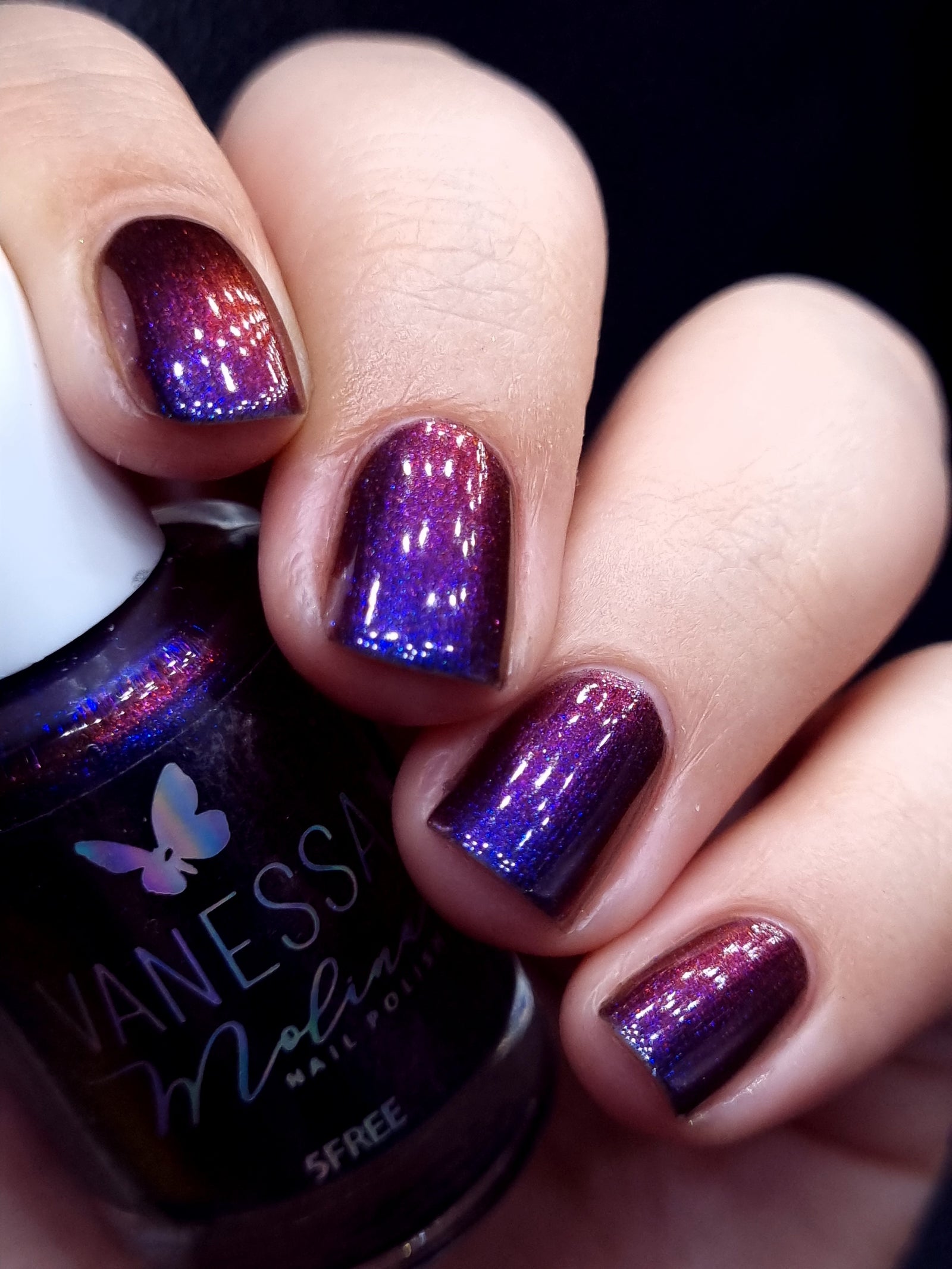 By Vanessa Molina- Rise of the Guardians- Brief