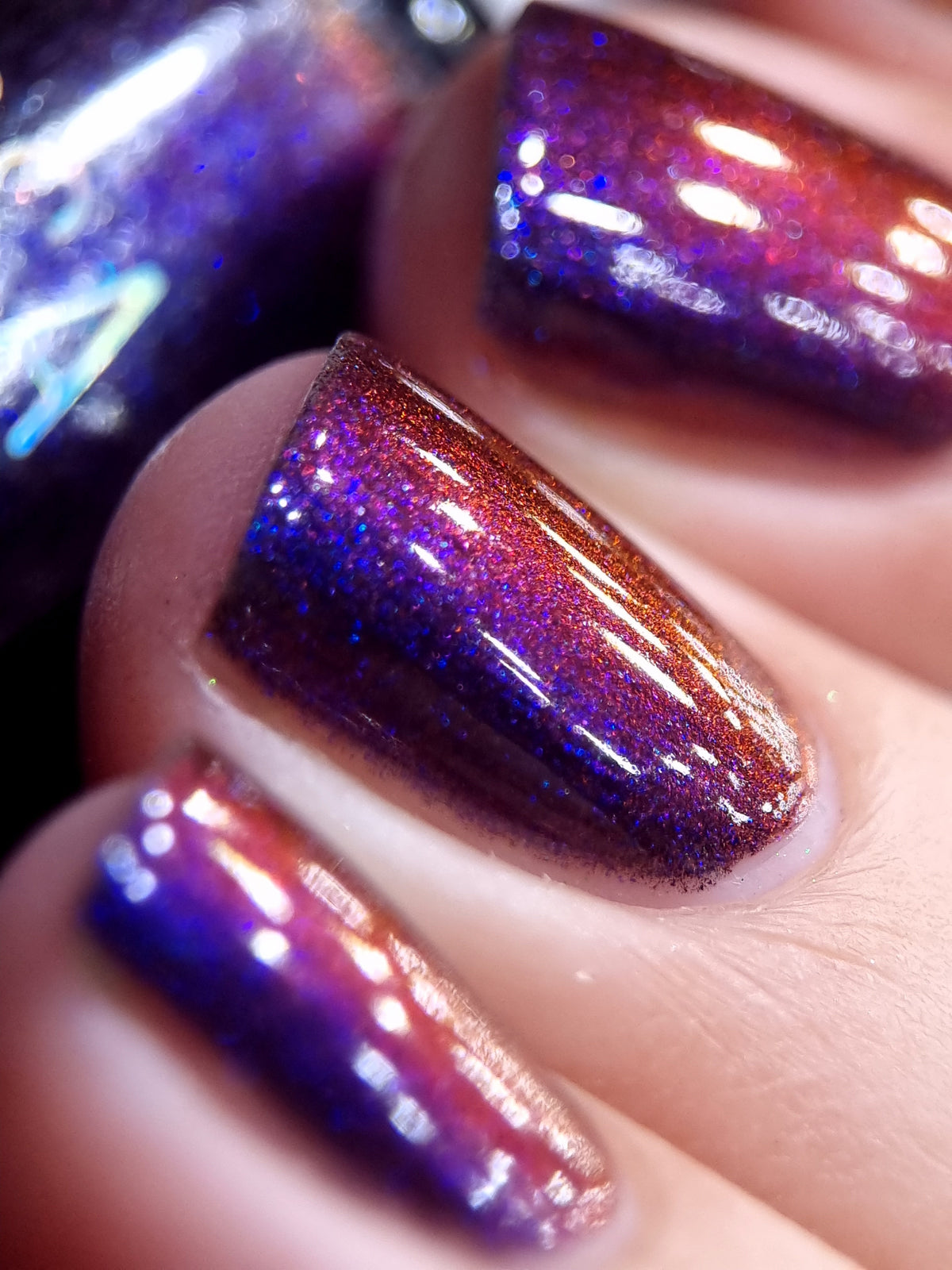 By Vanessa Molina- Rise of the Guardians- Brief