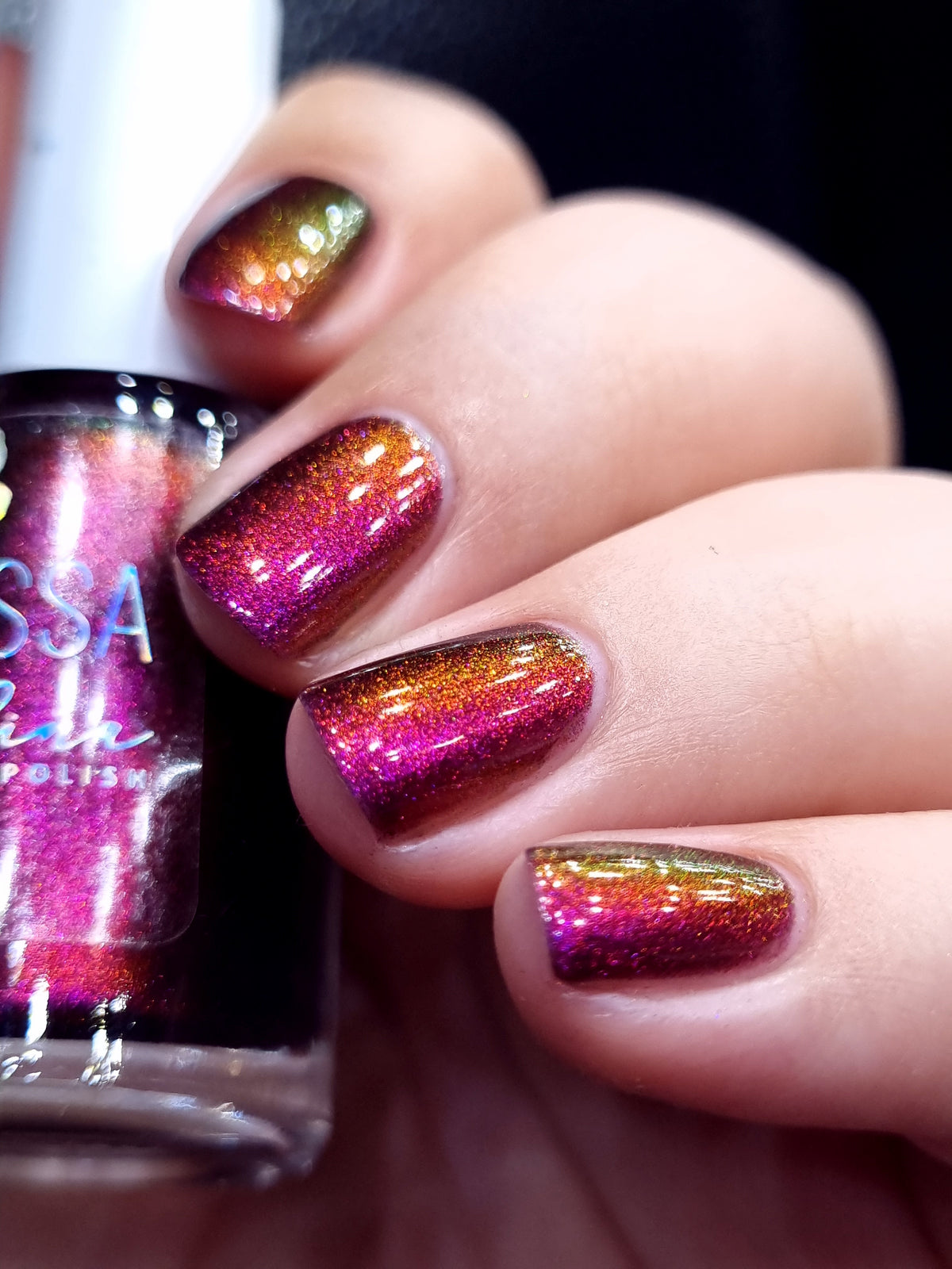 By Vanessa Molina- Rise of the Guardians- Tooth Fairy Story