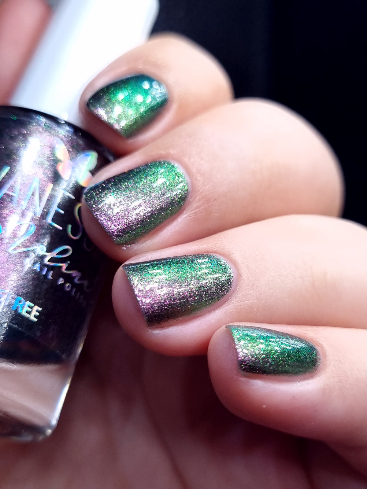 By Vanessa Molina- Rise of the Guardians- Perfect Team