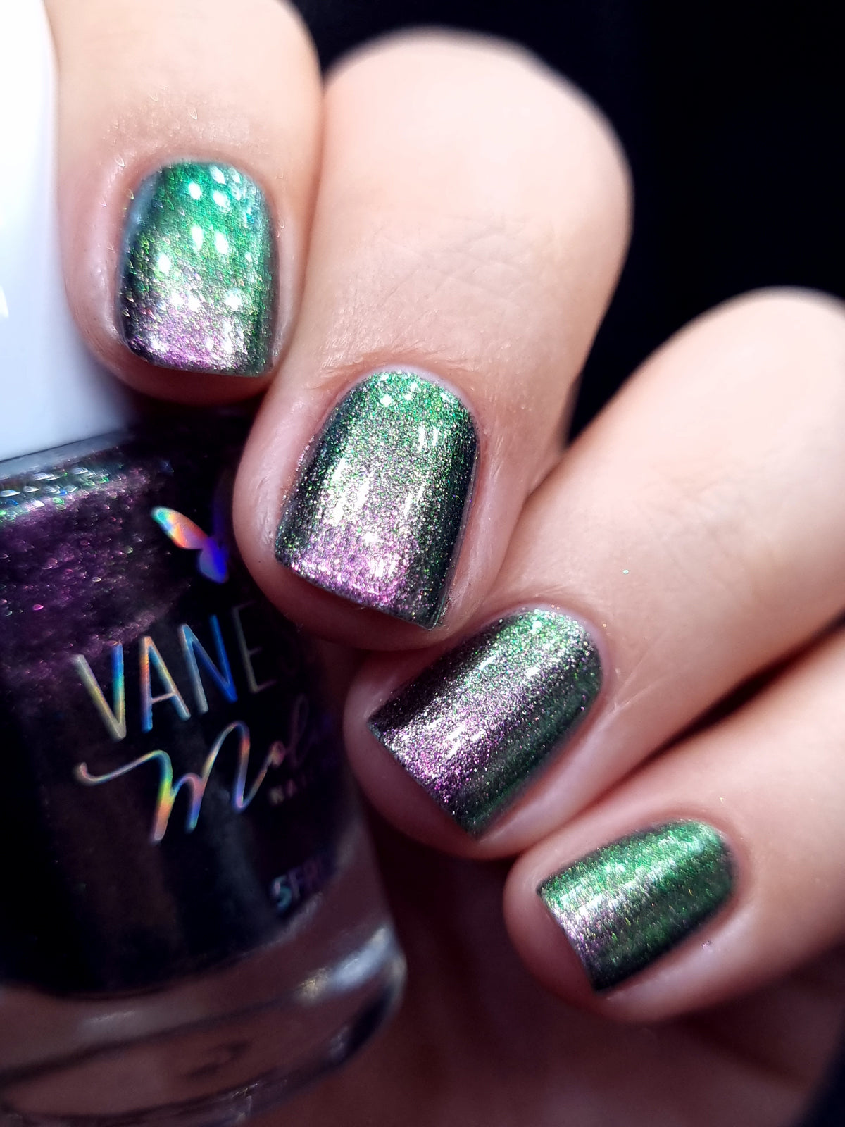 By Vanessa Molina- Rise of the Guardians- Perfect Team