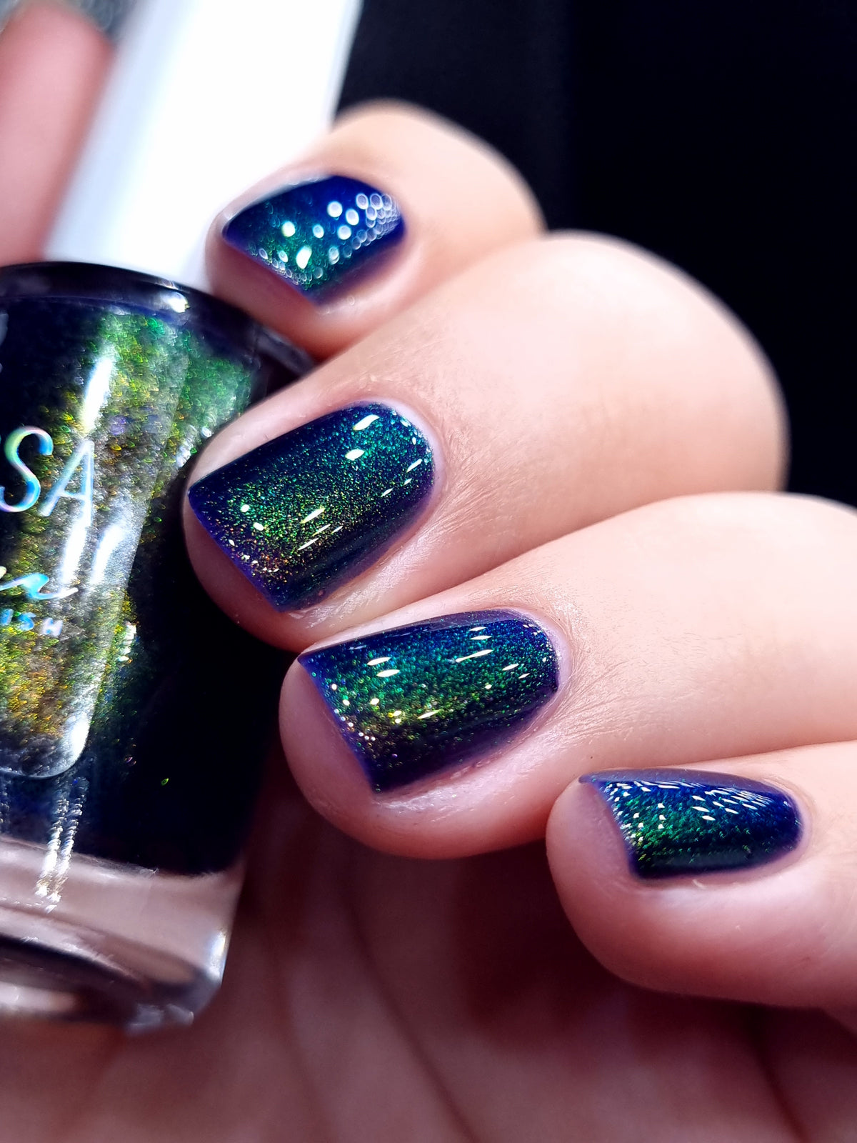 By Vanessa Molina- Rise of the Guardians- Believe in Dreams