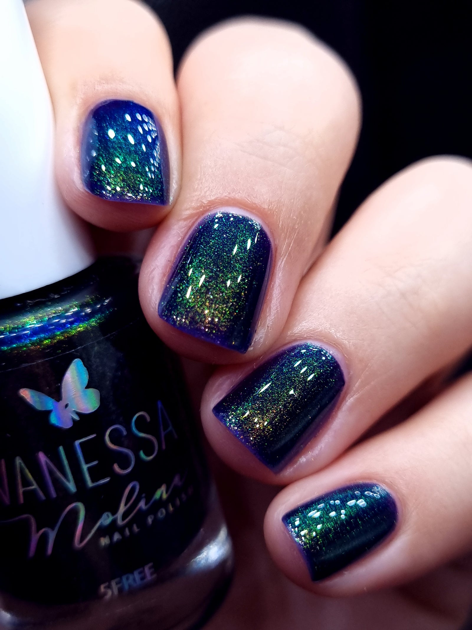 By Vanessa Molina- Rise of the Guardians- Believe in Dreams