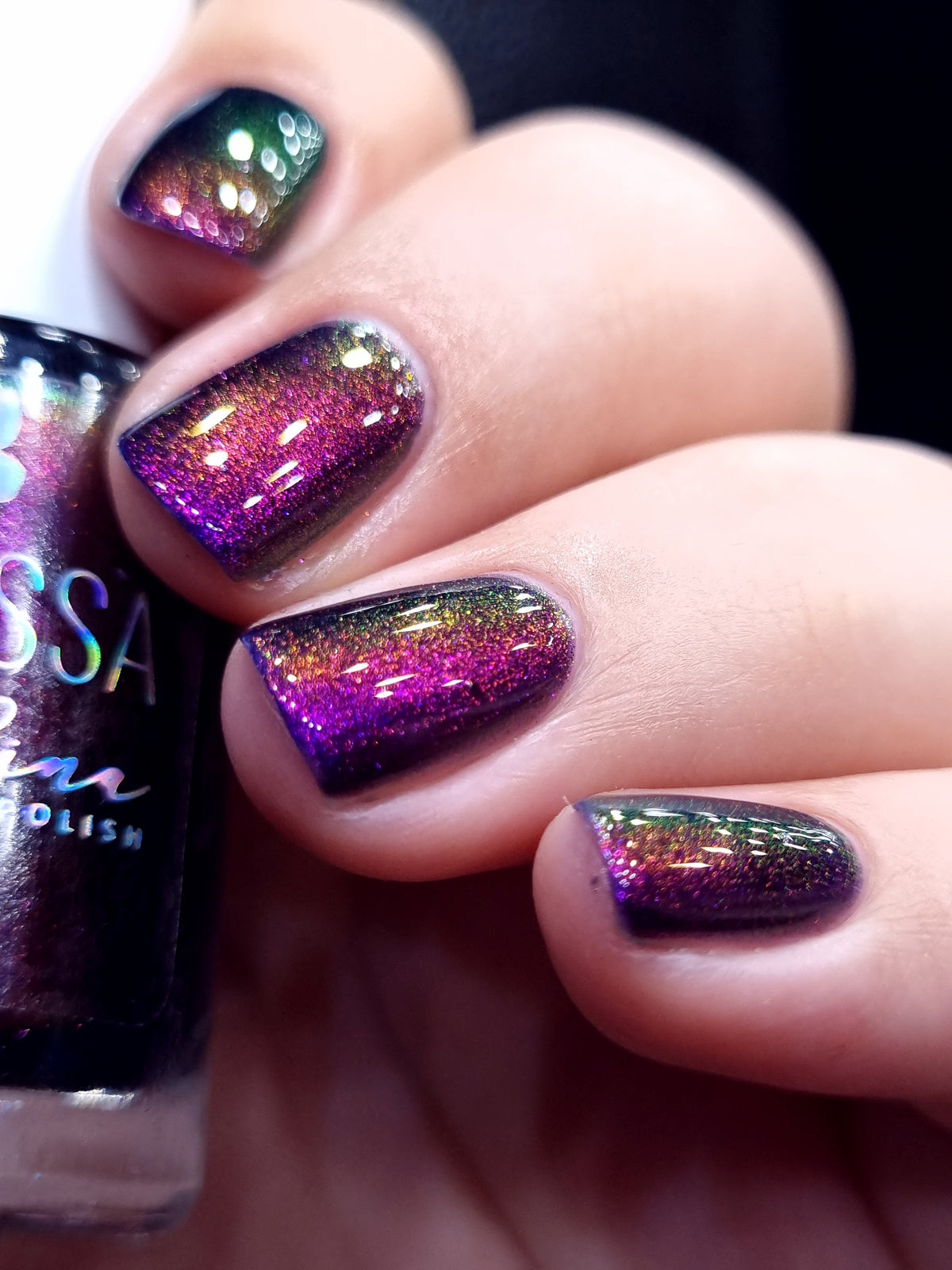 By Vanessa Molina- Rise of the Guardians- Competition