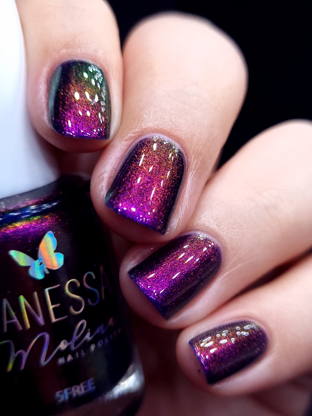 By Vanessa Molina- Rise of the Guardians- Competition