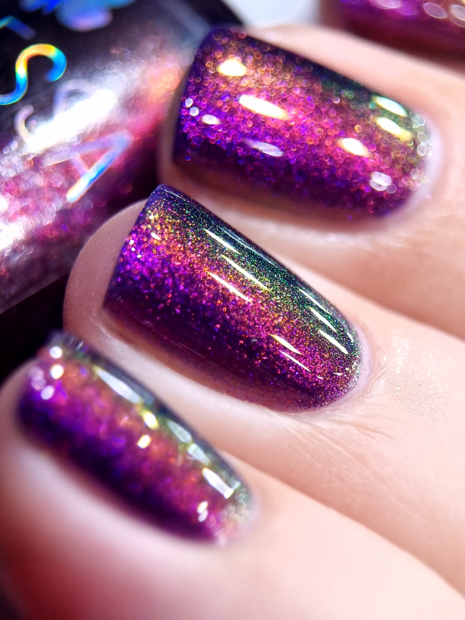 By Vanessa Molina- Rise of the Guardians- Competition