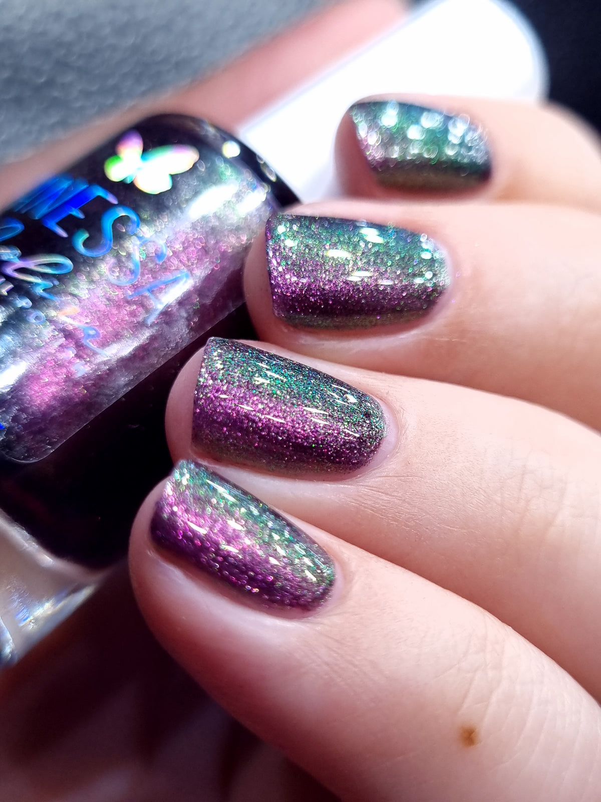 By Vanessa Molina- Rise of the Guardians- Save Easter