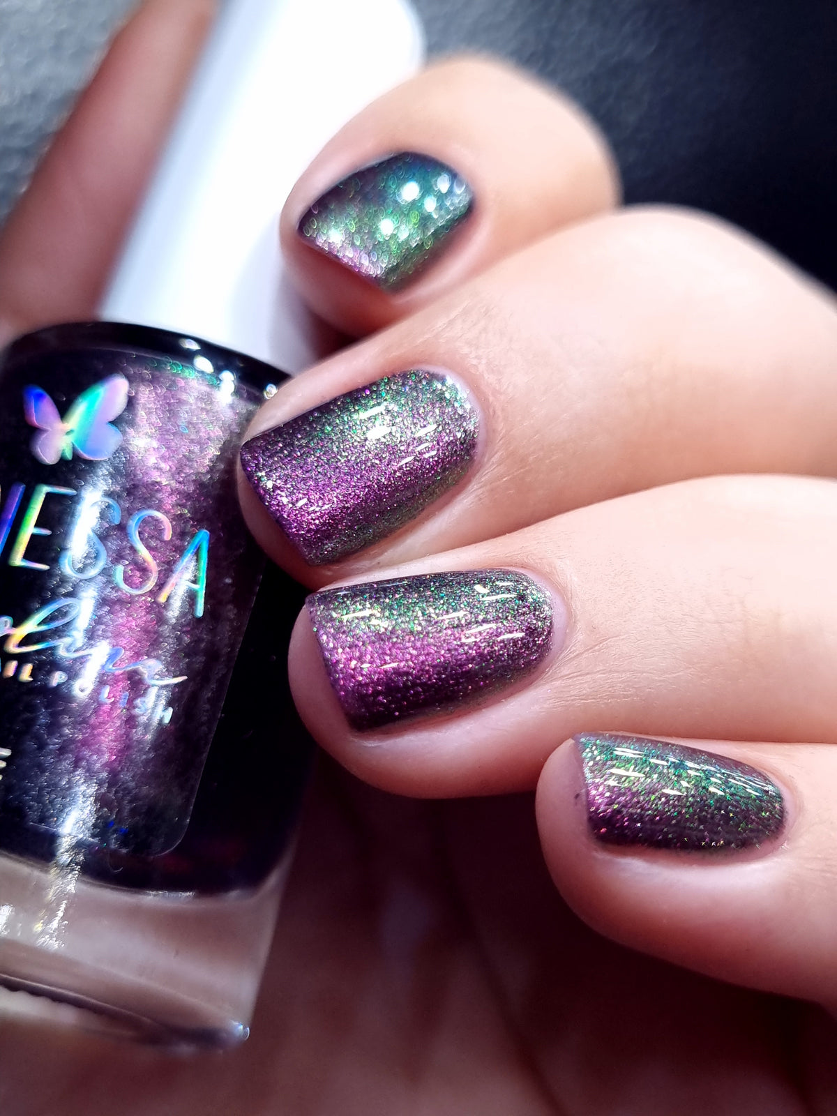 By Vanessa Molina- Rise of the Guardians- Save Easter