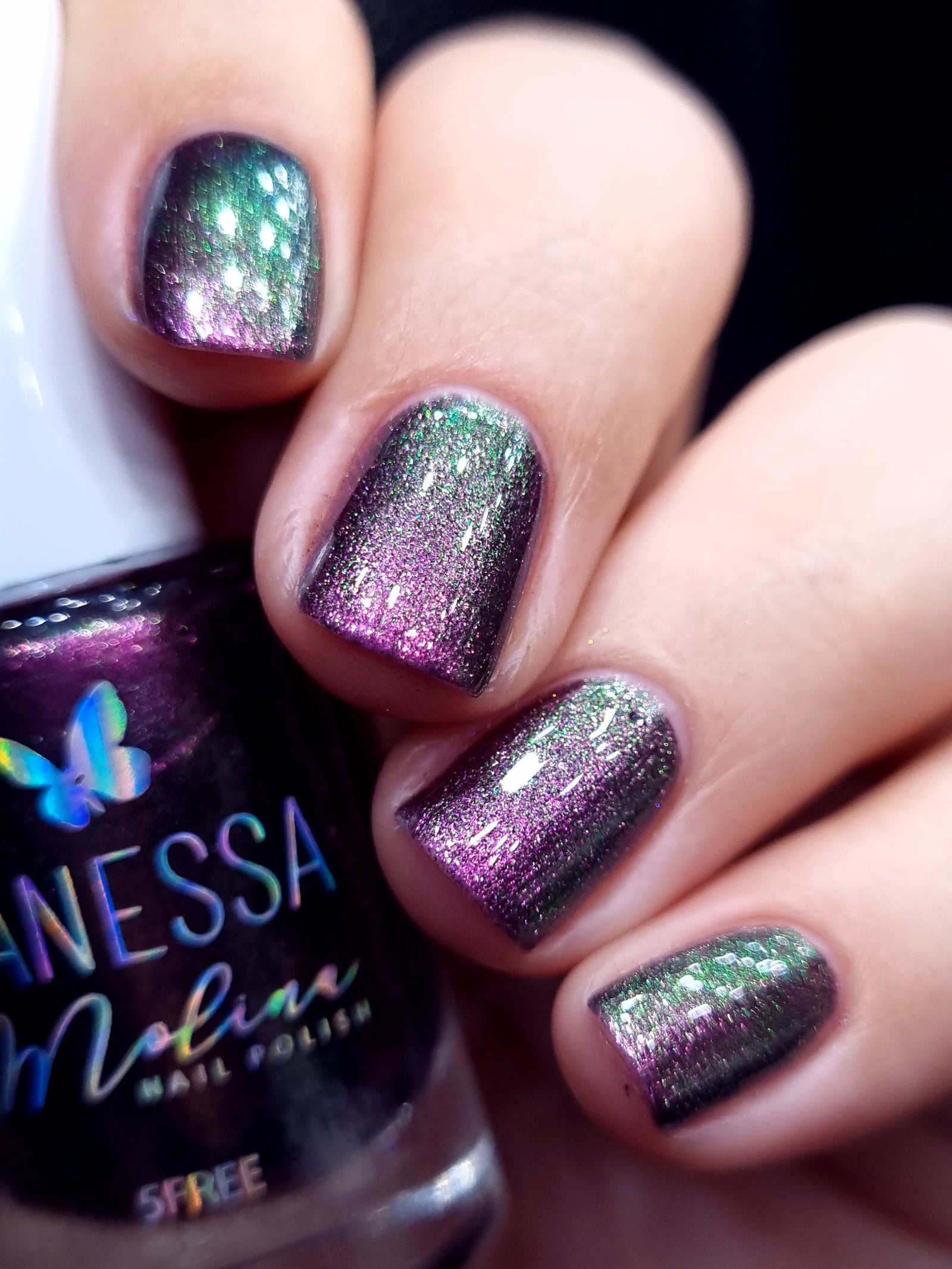 By Vanessa Molina- Rise of the Guardians- Save Easter