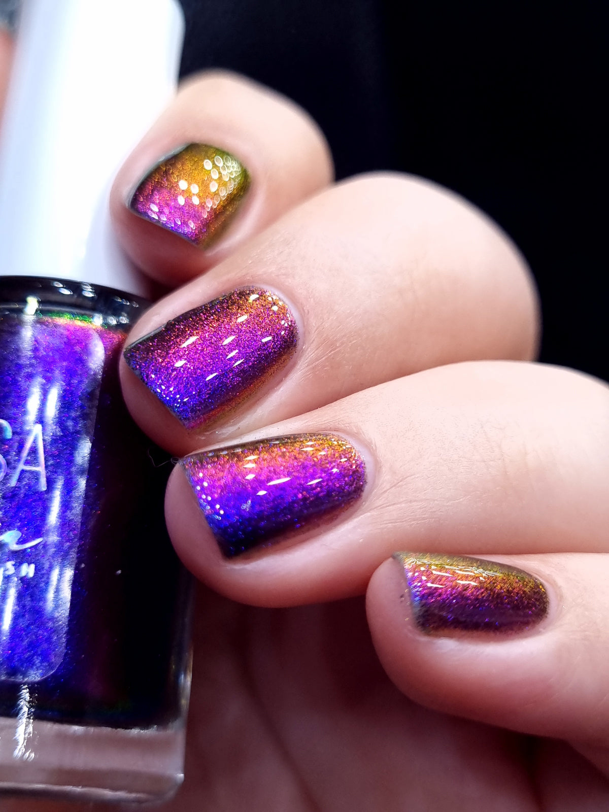 By Vanessa Molina- Rise of the Guardians- I Arrived!