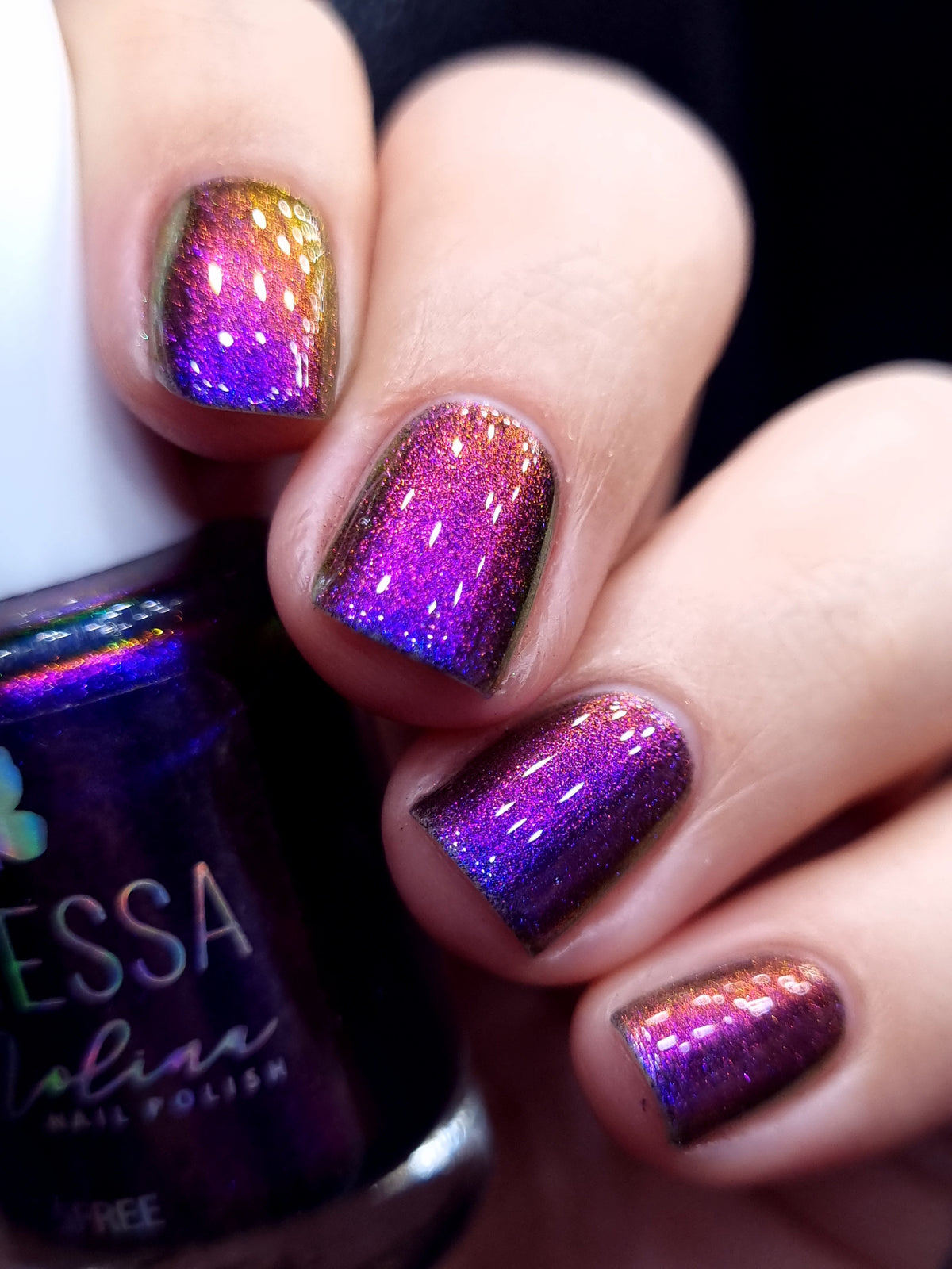 By Vanessa Molina- Rise of the Guardians- I Arrived!