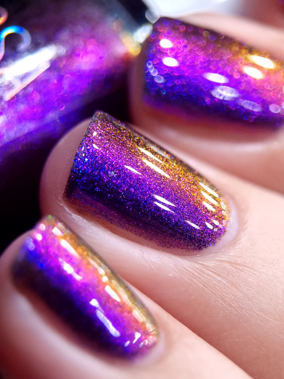 By Vanessa Molina- Rise of the Guardians- I Arrived!