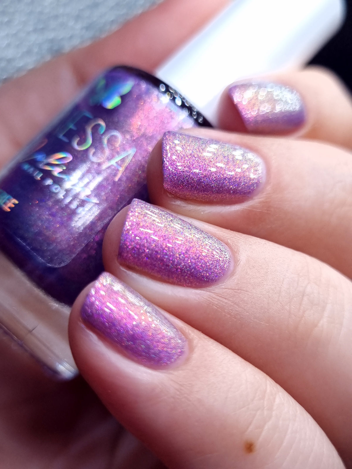 By Vanessa Molina- Rise of the Guardians- Preparations