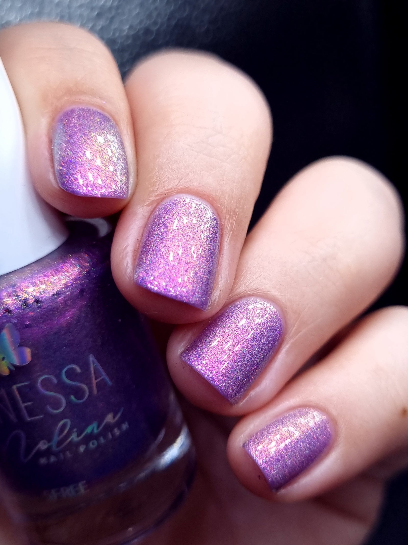 By Vanessa Molina- Rise of the Guardians- Preparations