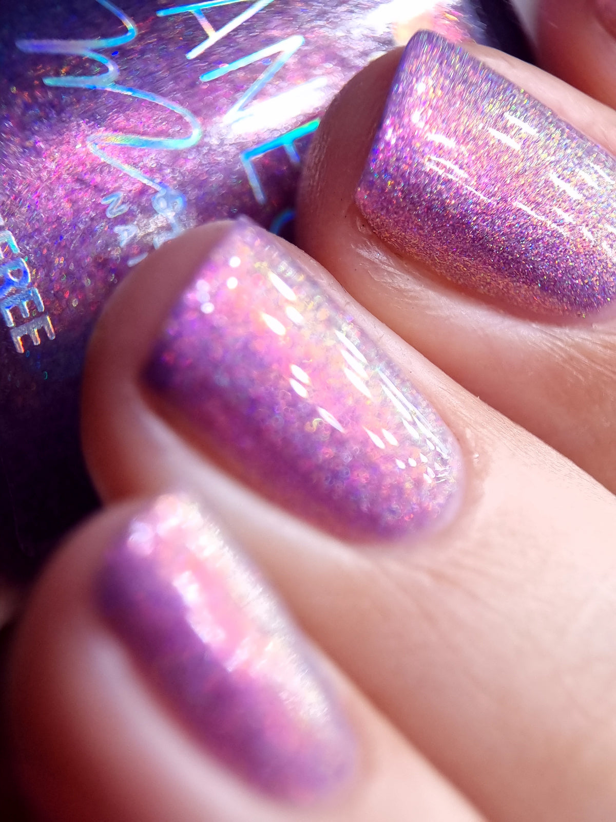 By Vanessa Molina- Rise of the Guardians- Preparations