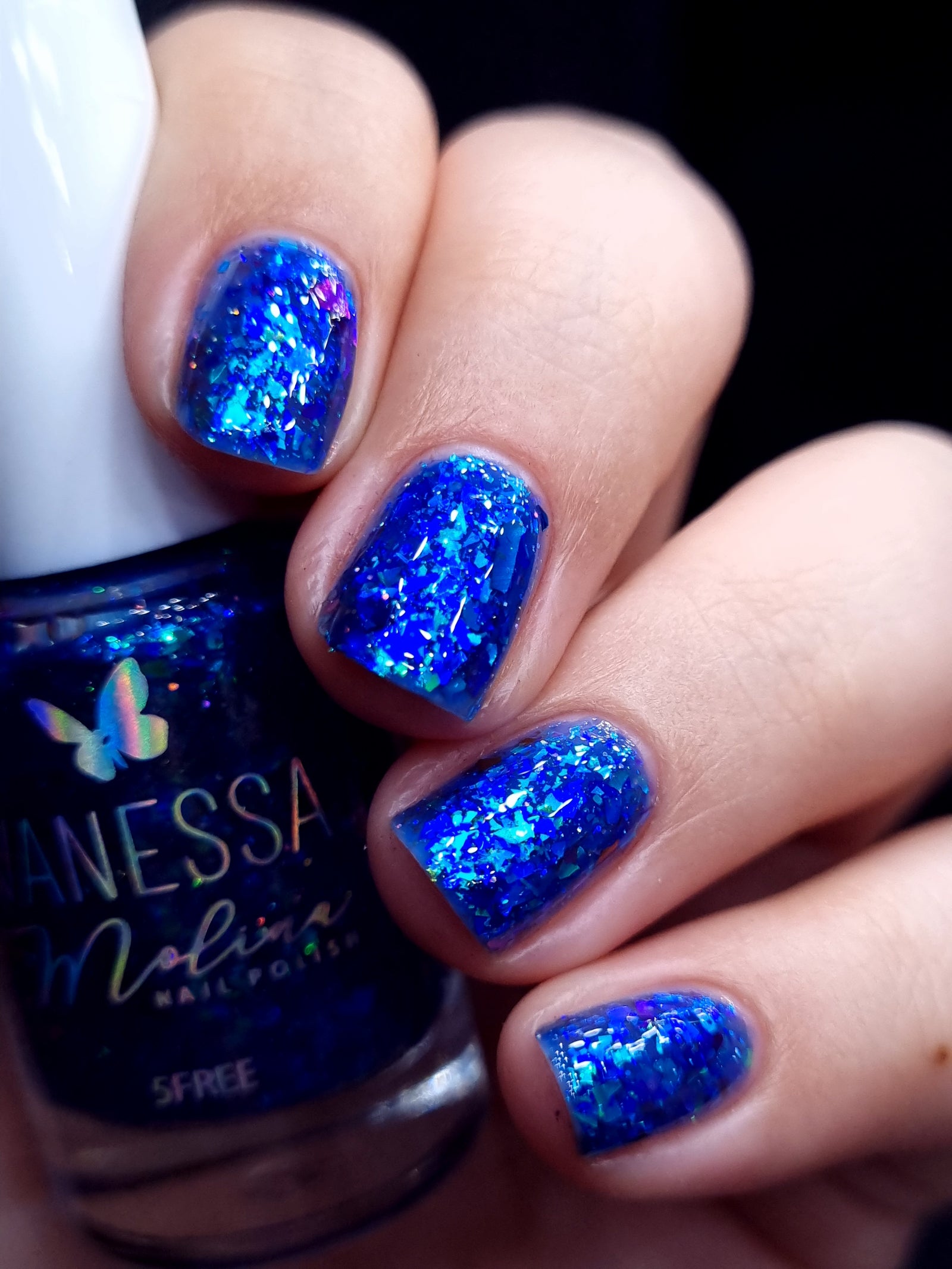 By Vanessa Molina- Rise of the Guardians- Where It All Began