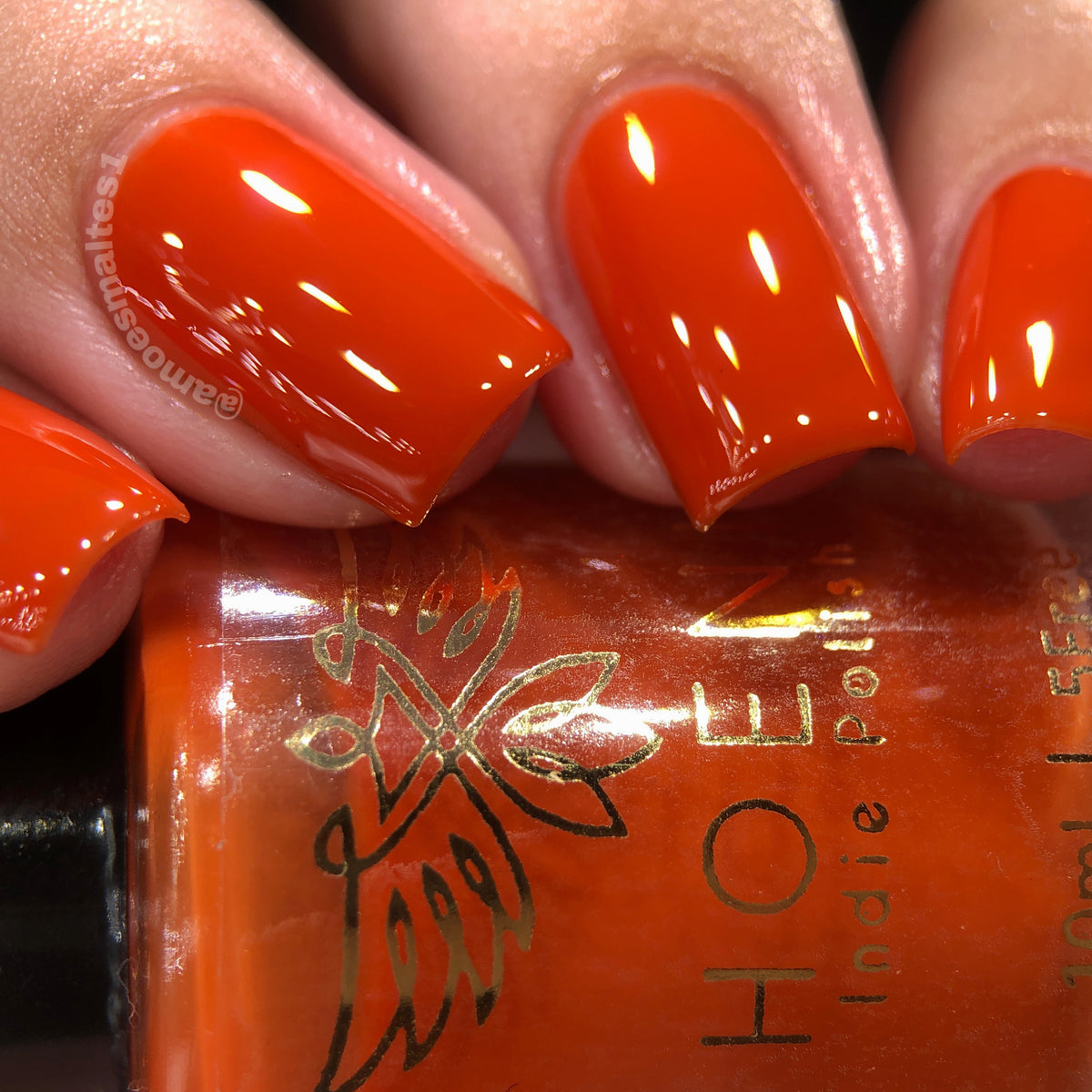 Phoenix- Blood and Fire- Jaehaerys