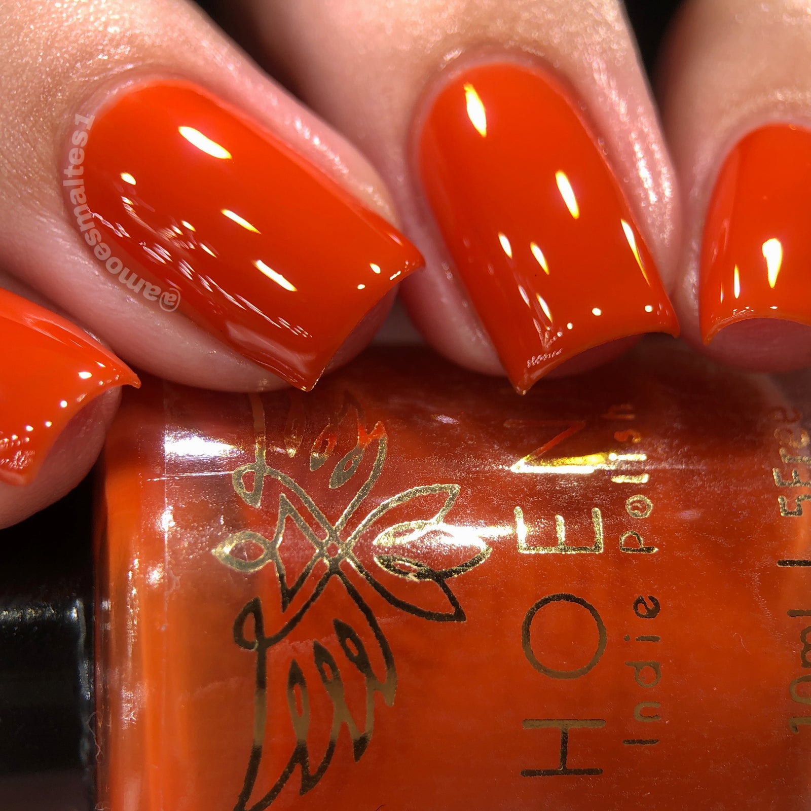 Phoenix- Blood and Fire- Jaehaerys