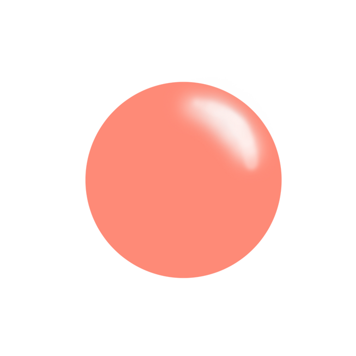 Clear Jelly Stamper- Stamping Polish- The Bake Shop Kit (4 colors)