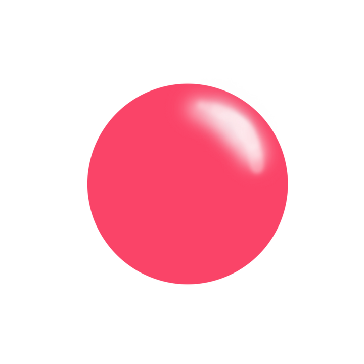 Clear Jelly Stamper- Stamping Polish- The Bake Shop Kit (4 colors)