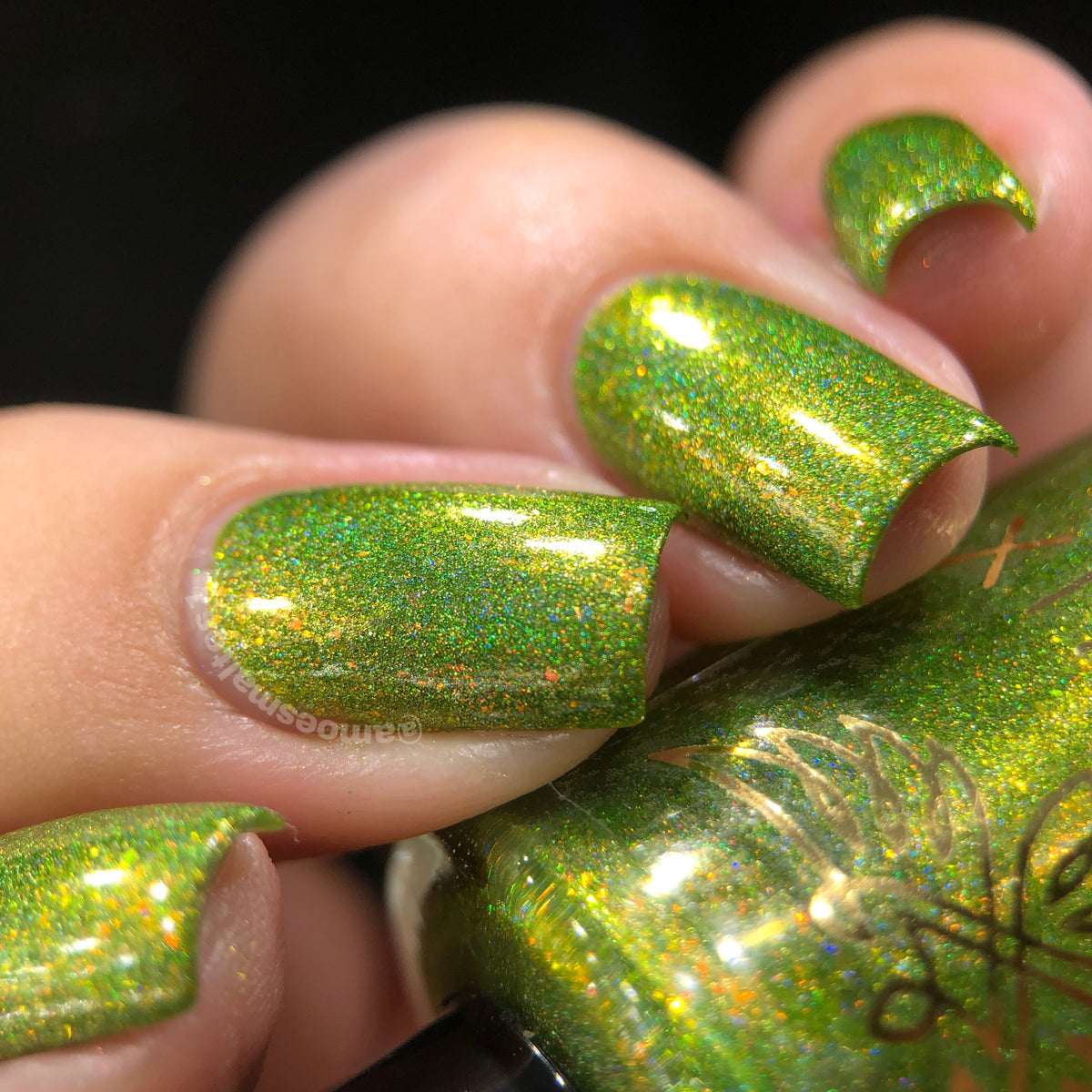 Phoenix- Blood and Fire- Vermax