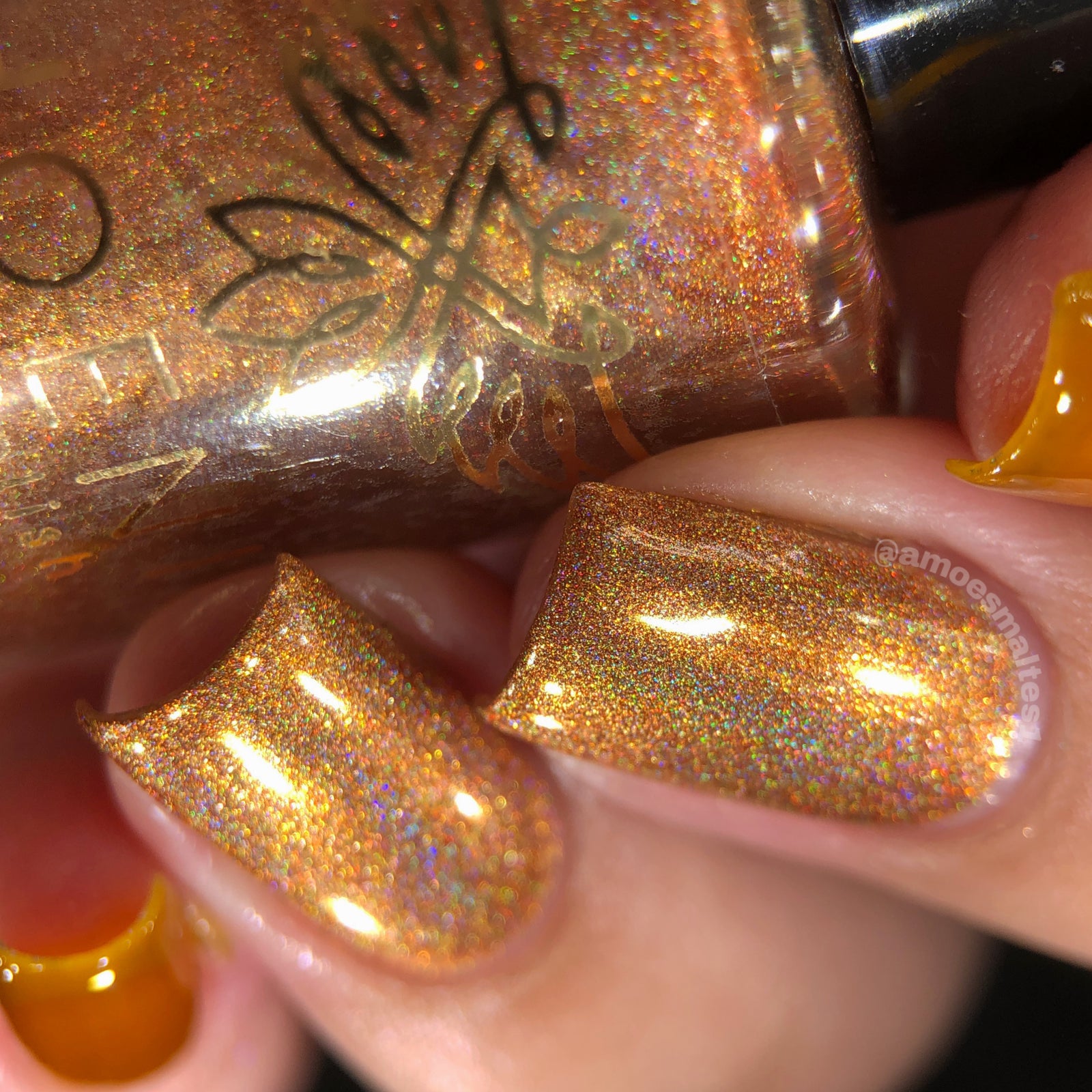 Phoenix- Blood and Fire- Syrax