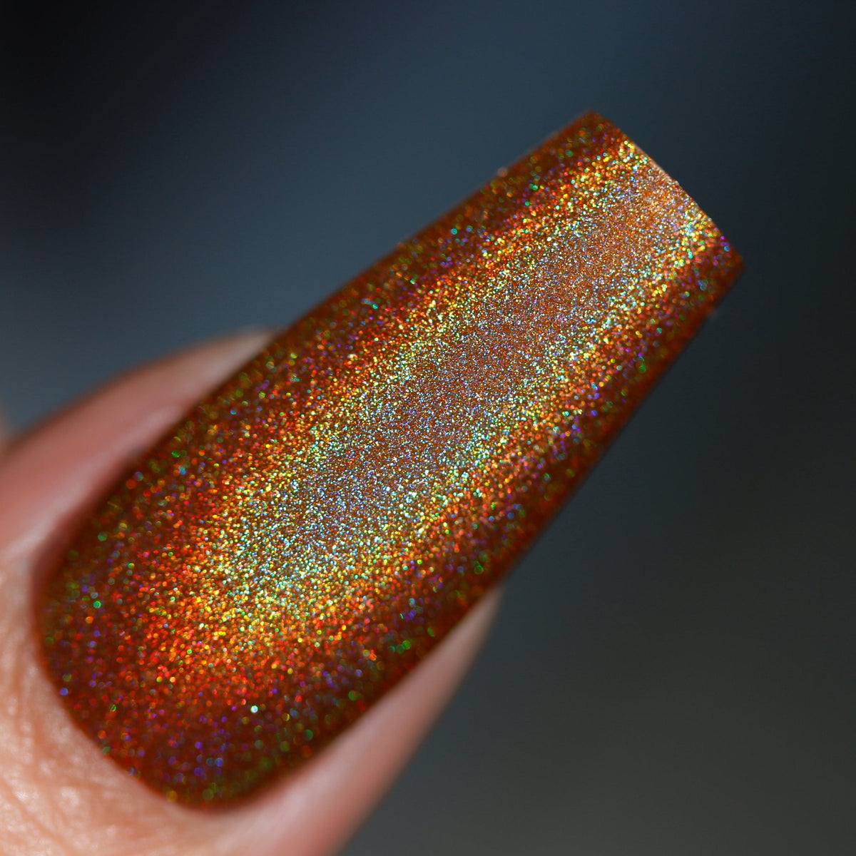 Phoenix- Holos- Mon Petit