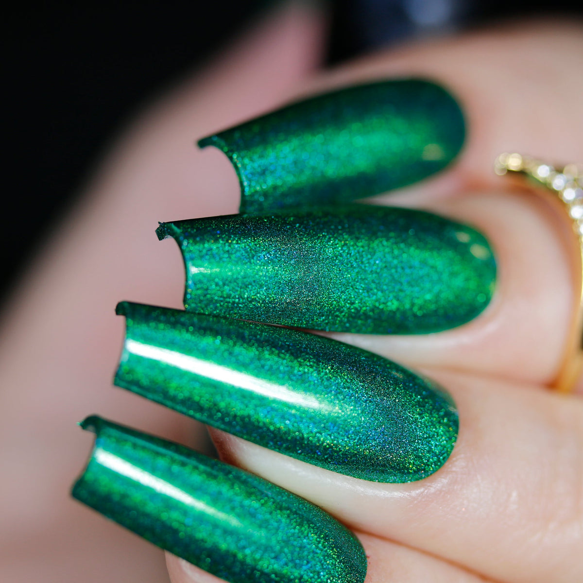 Phoenix- Holos- Caco