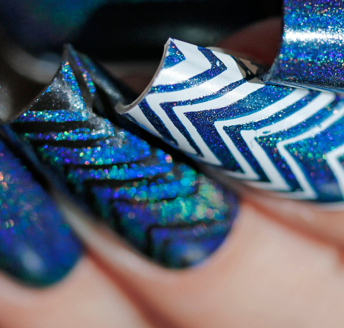 Phoenix- Holos- Haltere