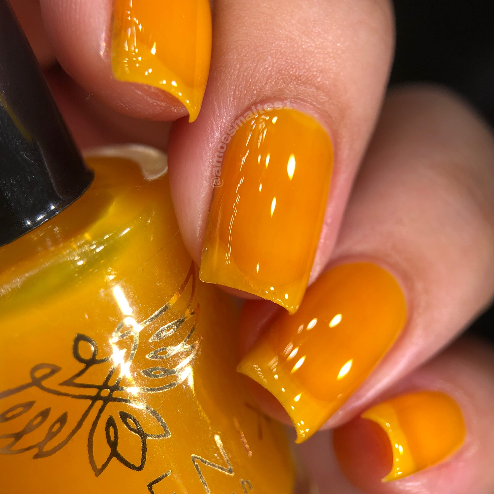 Phoenix- Blood and Fire- Aegon II