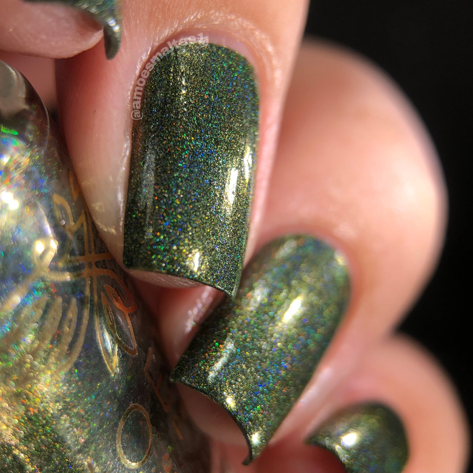 Phoenix- Blood and Fire- Vhagar