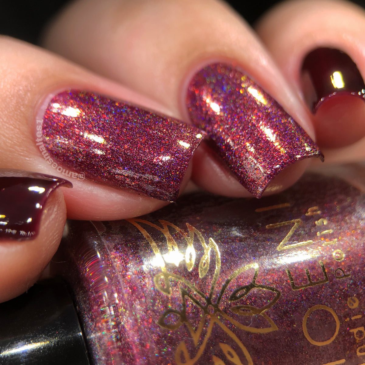 Phoenix- Blood and Fire- Caraxes