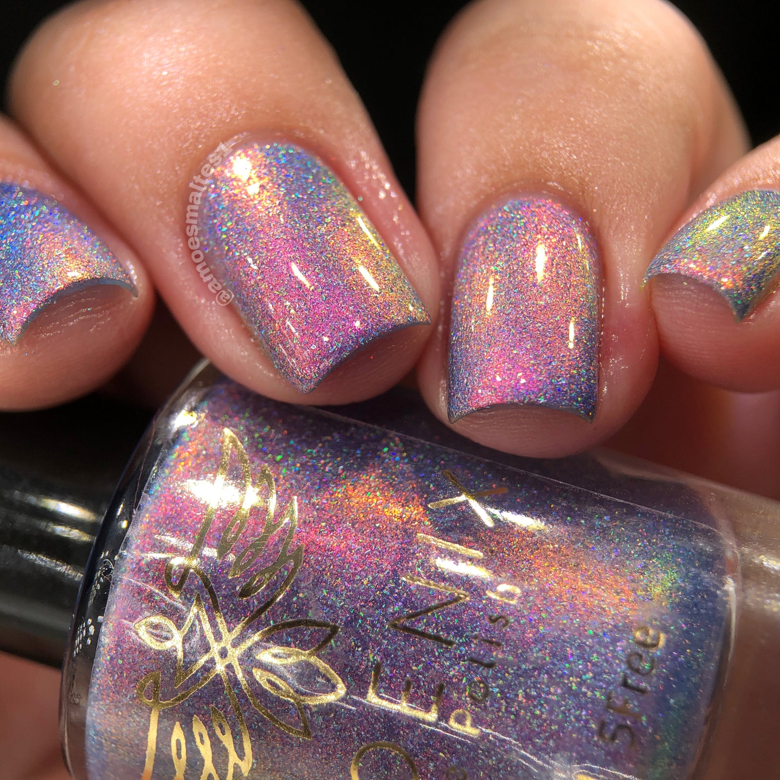 Phoenix- A Special Christmas- From Cosmo the Space Dog