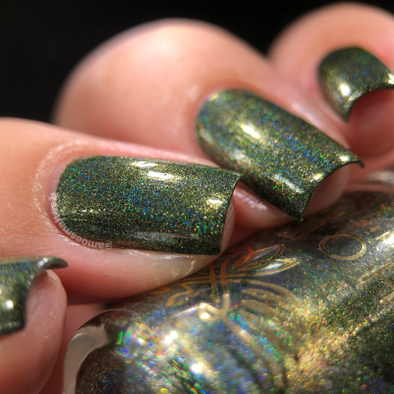 Phoenix- Blood and Fire- Vhagar