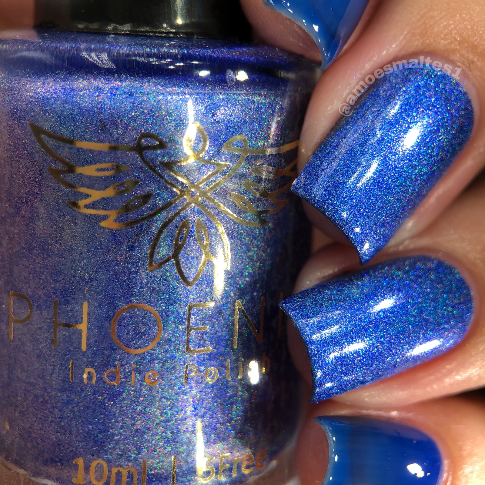 Phoenix- Blood and Fire- Ice Dragon