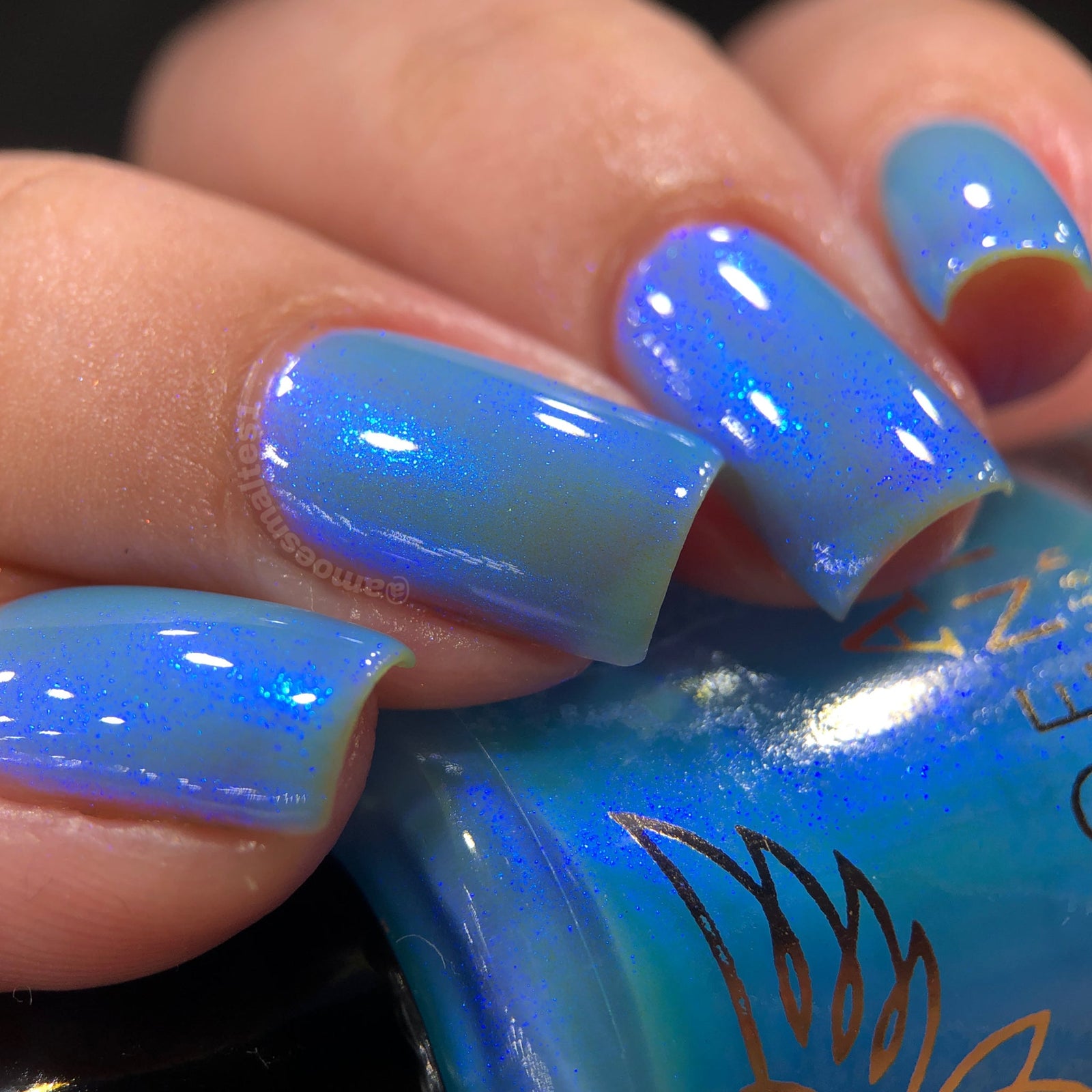 Phoenix- Paint the Town Red- Damon