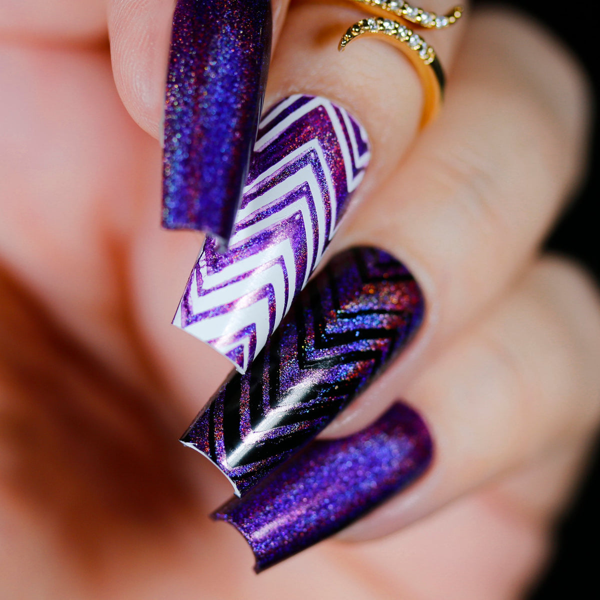 Phoenix- Holos- Medusa