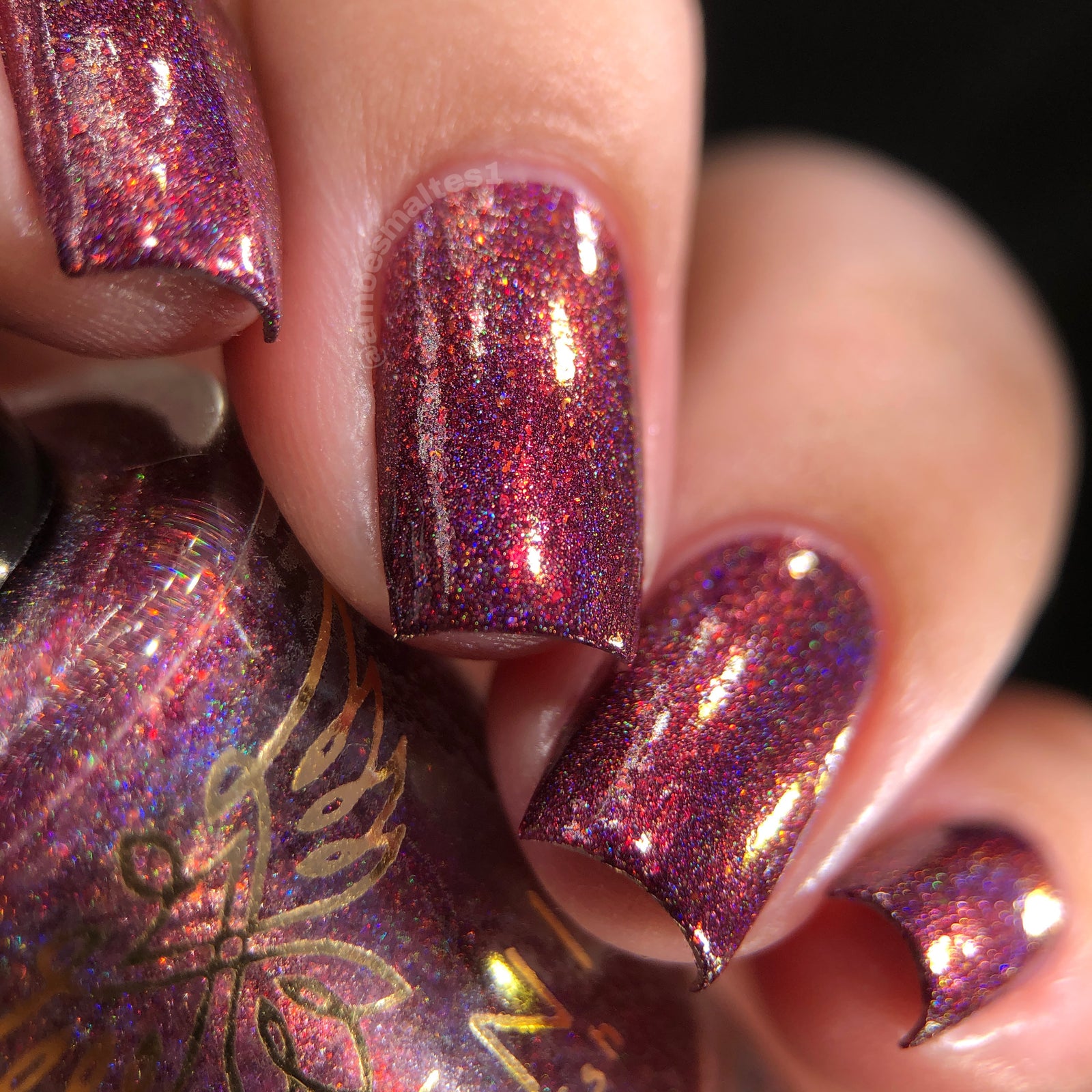 Phoenix- Blood and Fire- Caraxes