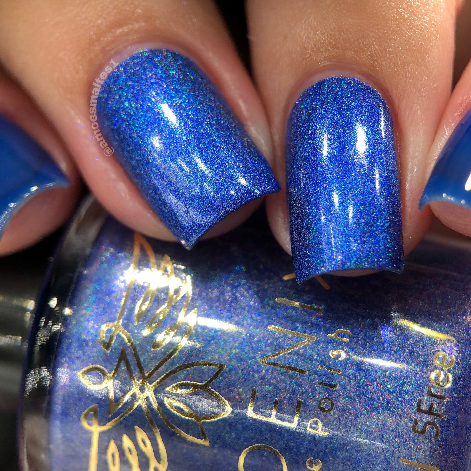 Phoenix- Blood and Fire- Ice Dragon