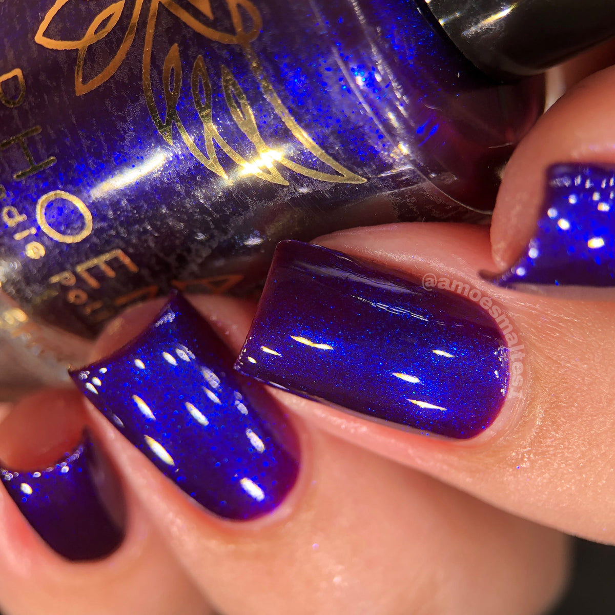 Phoenix- Paint the Town Red- Sellene