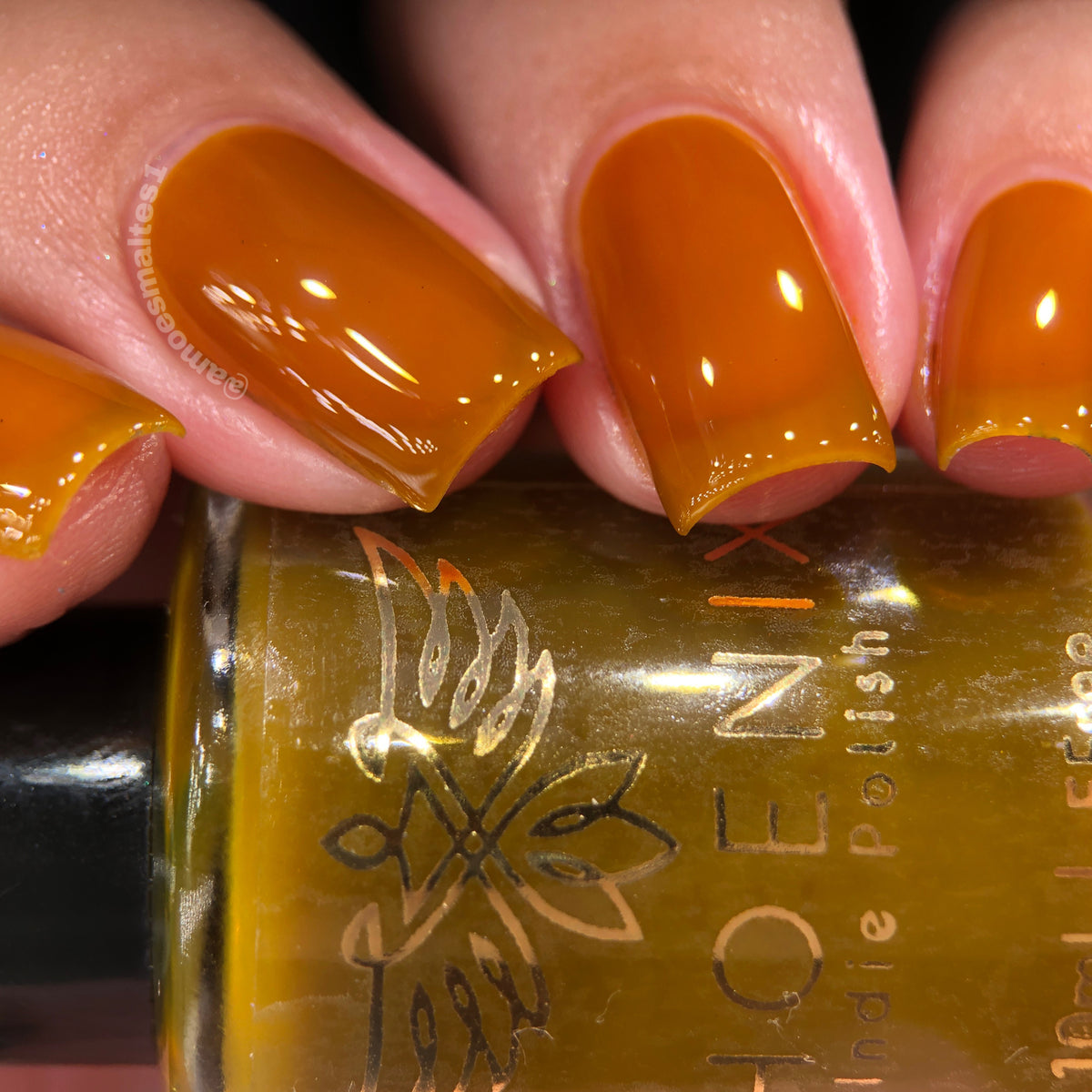 Phoenix- Blood and Fire- Rhaenyra