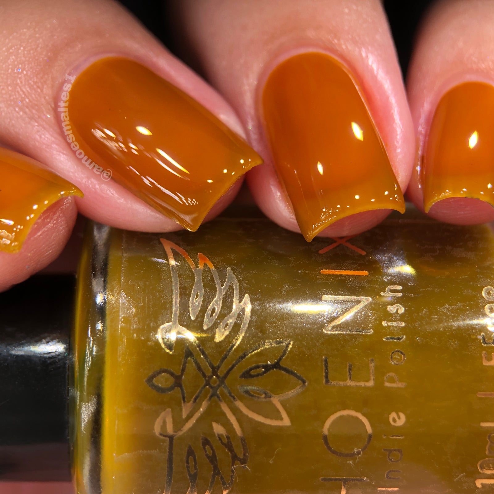 Phoenix- Blood and Fire- Rhaenyra