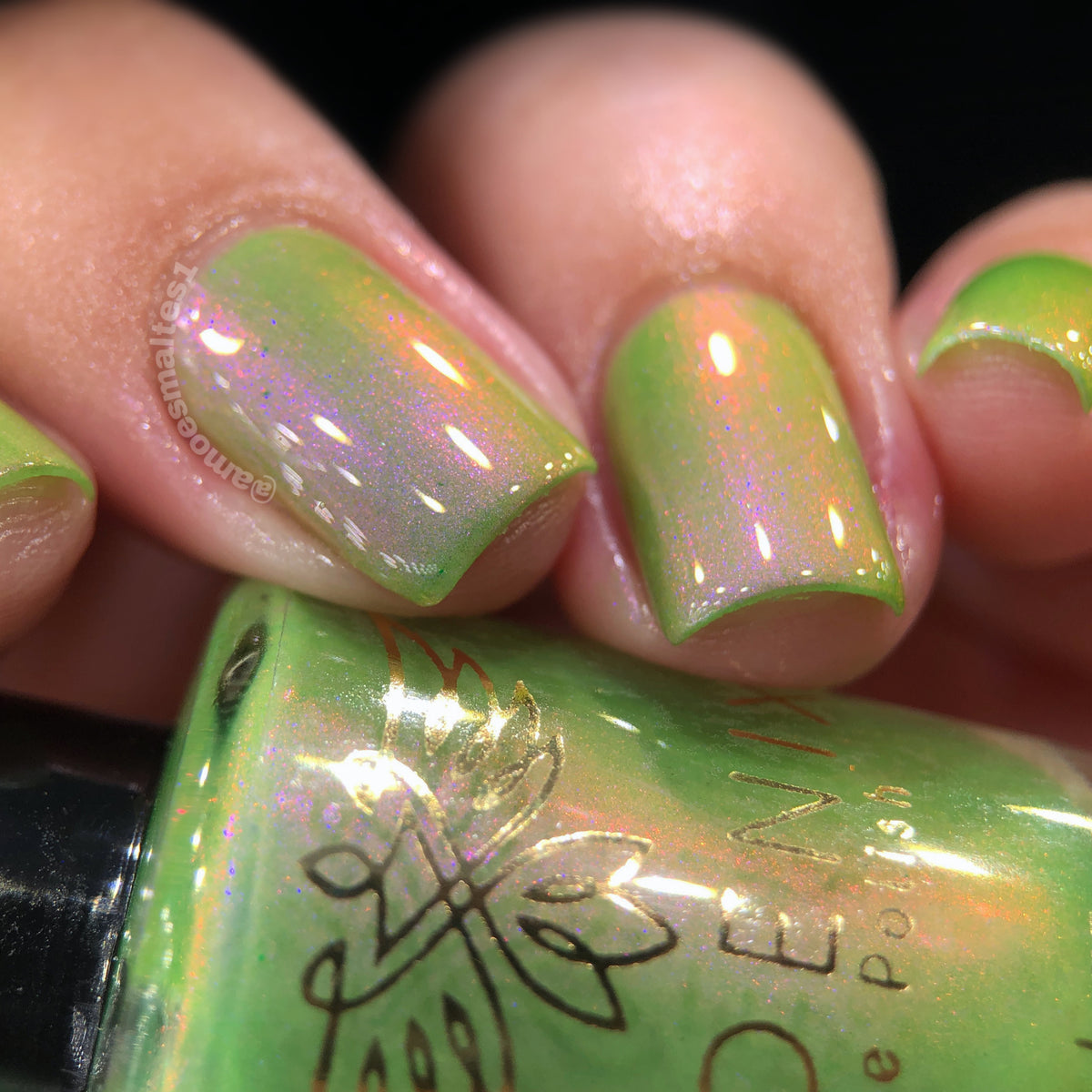 Phoenix- A Special Christmas- For Yondu