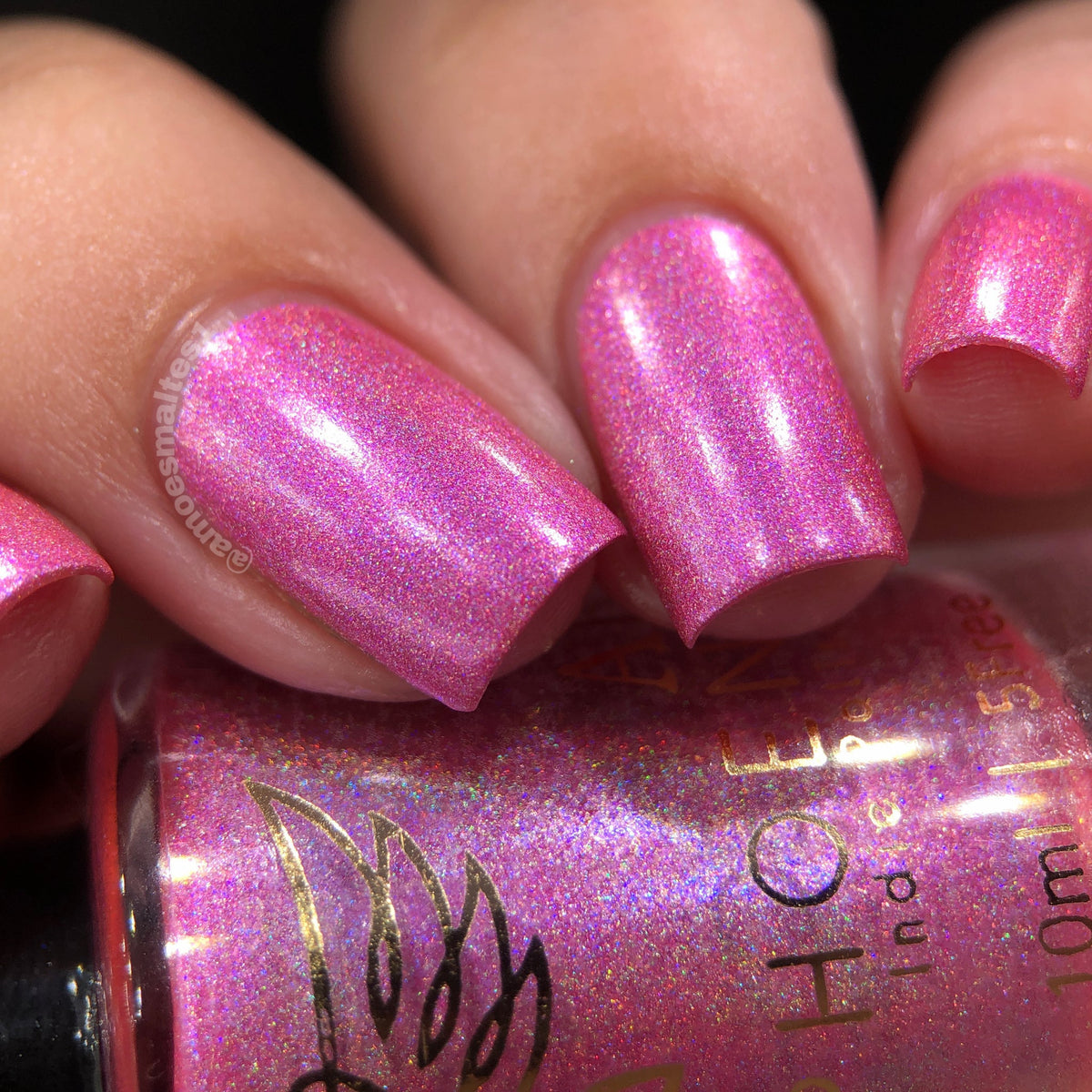 Phoenix- Paint the Town Red- Caroline