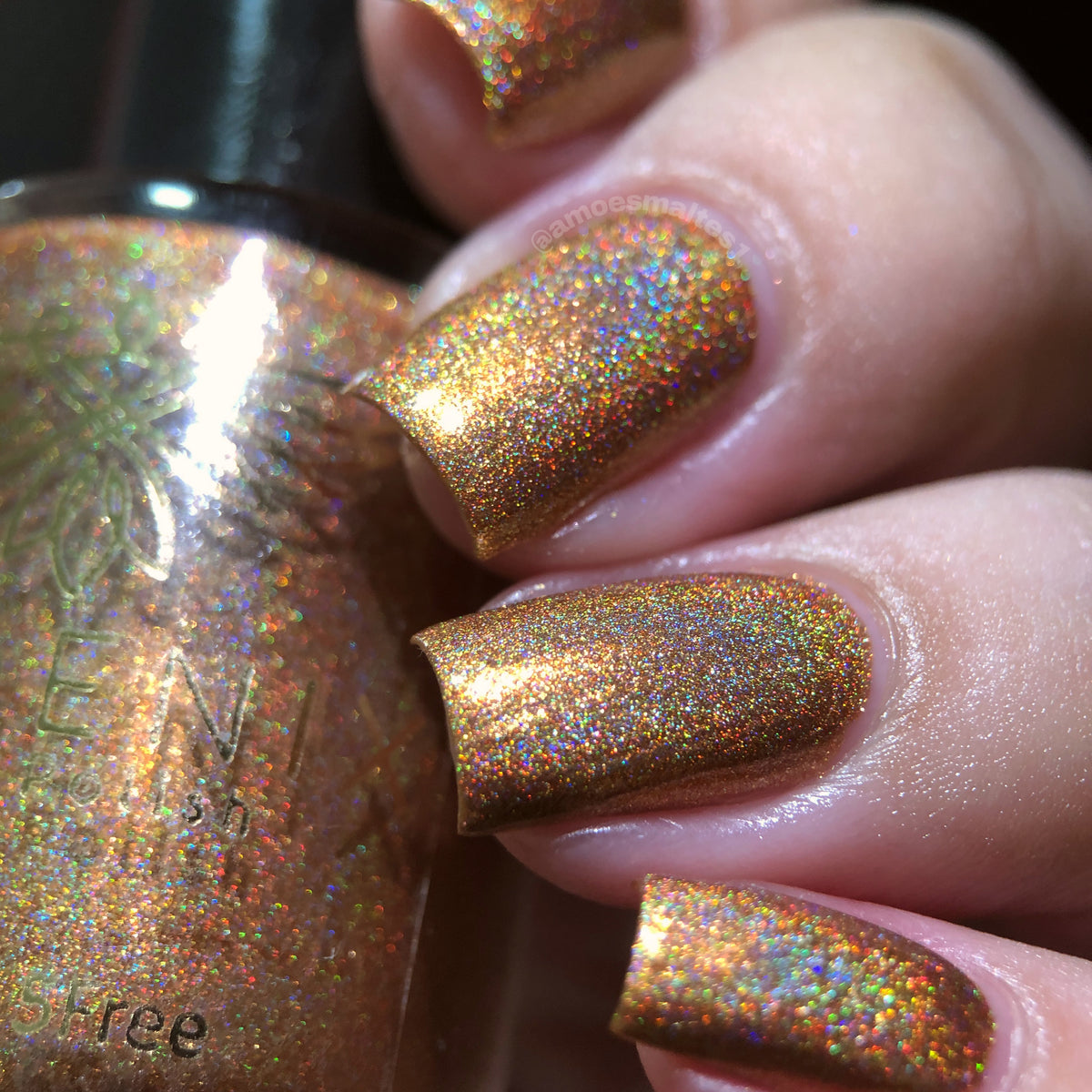 Phoenix- Blood and Fire- Syrax