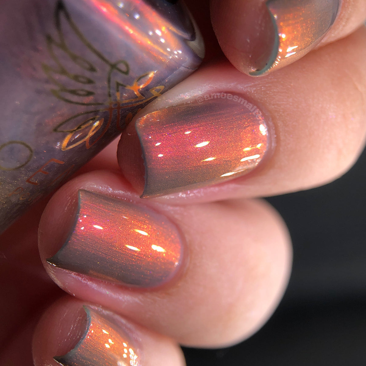 Phoenix- A Special Christmas- Reindeer Groot