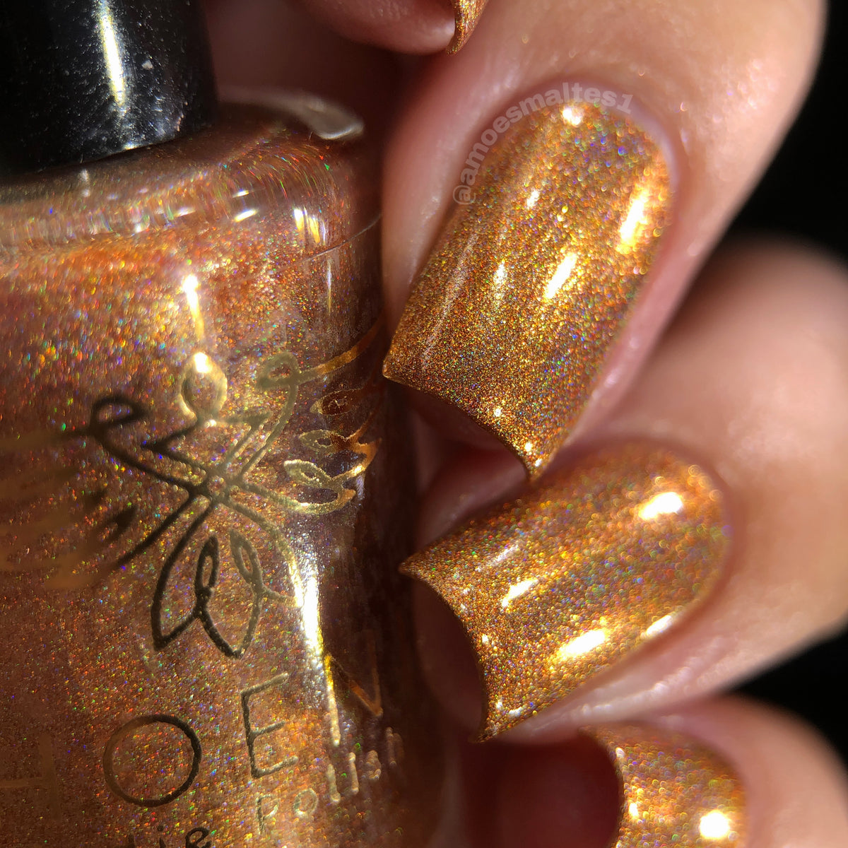 Phoenix- Blood and Fire- Syrax