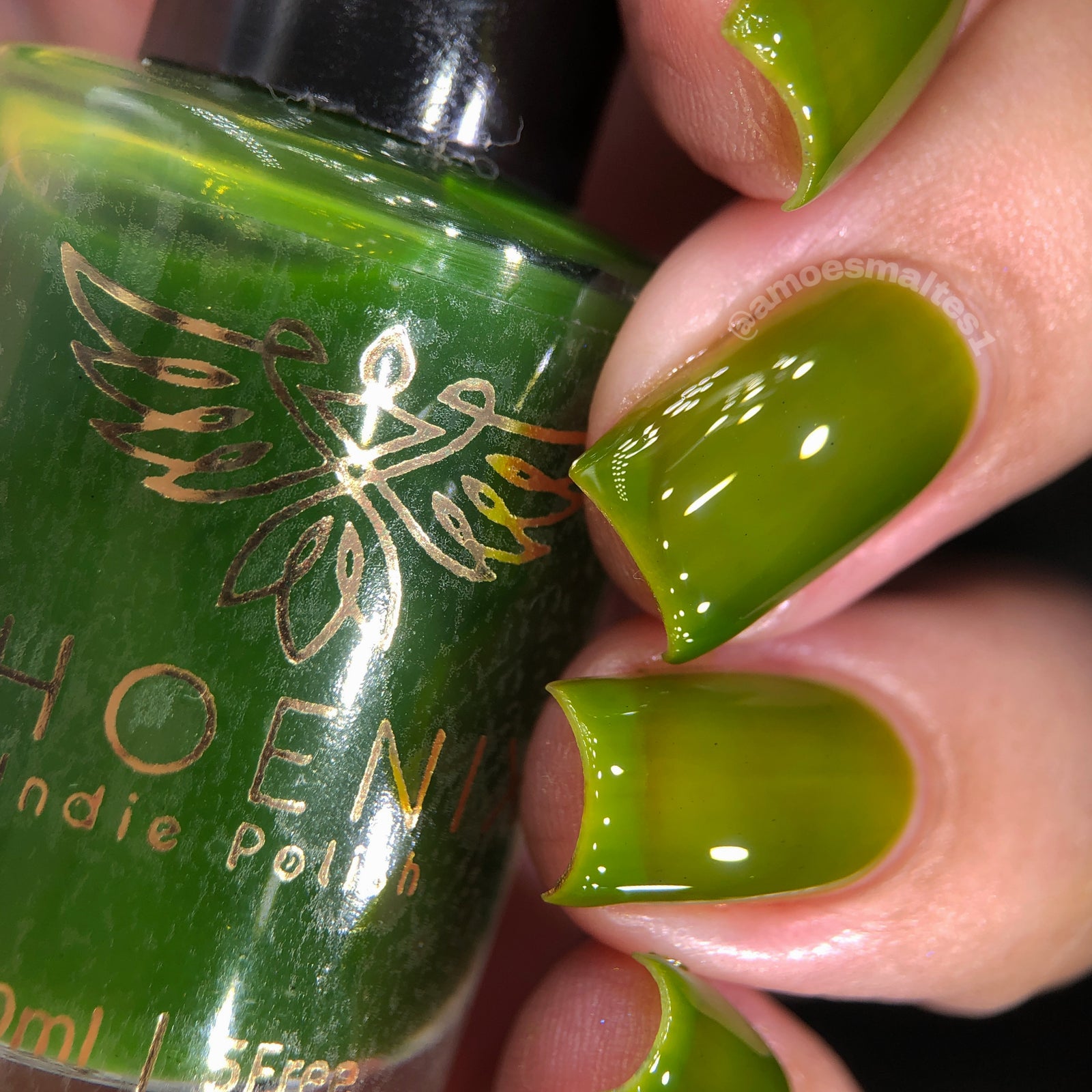 Phoenix- Blood and Fire- Jacaerys